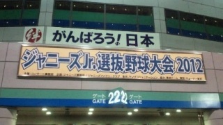 �싅���I