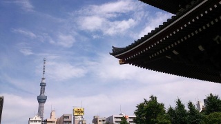 �X�J�C�c���[